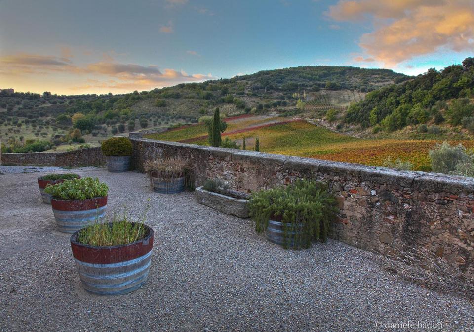 Appartamento Dimora Toscana Seggiano Esterno foto